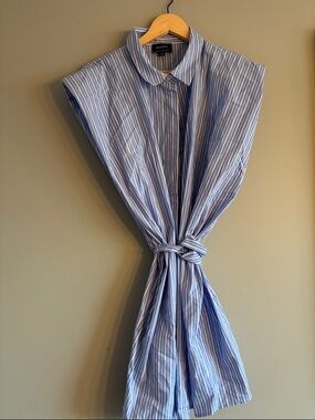 Bardot Blue and White Vertical Stripe Sleeveless Shirt Dress